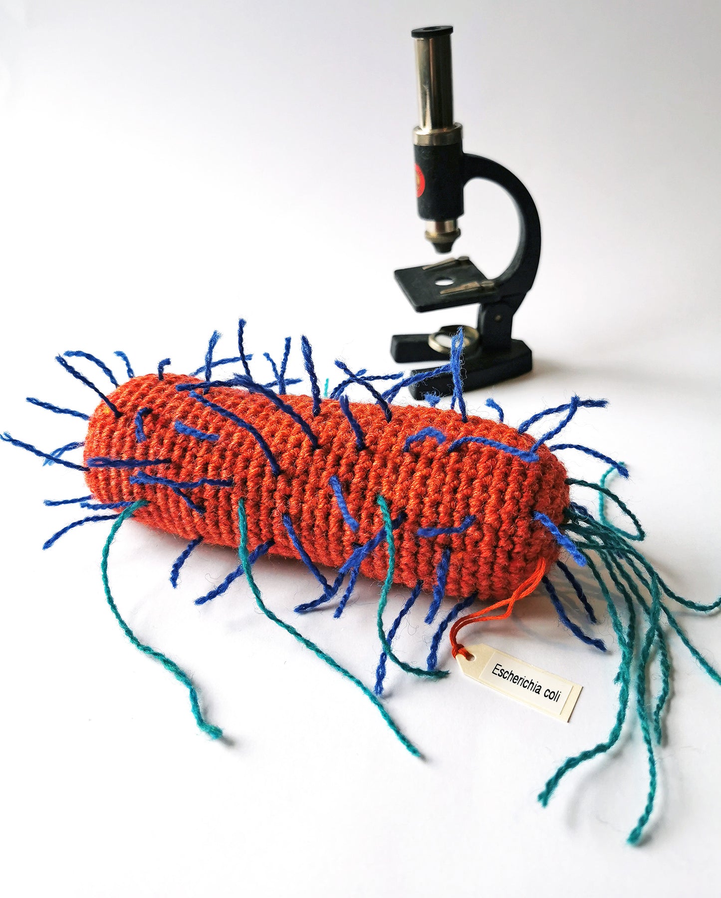 Crochet Pattern: E. coli Bacteria (PDF print at home)