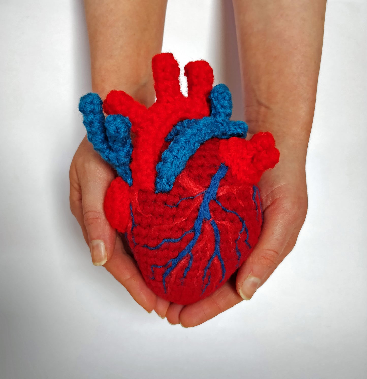 Crochet Pattern: Anatomical Heart- Digital Download