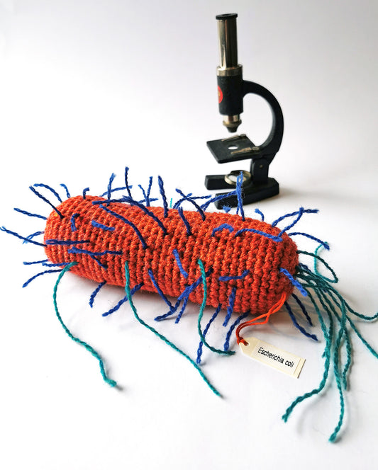 Crochet Pattern: E. coli Bacteria (PDF print at home)