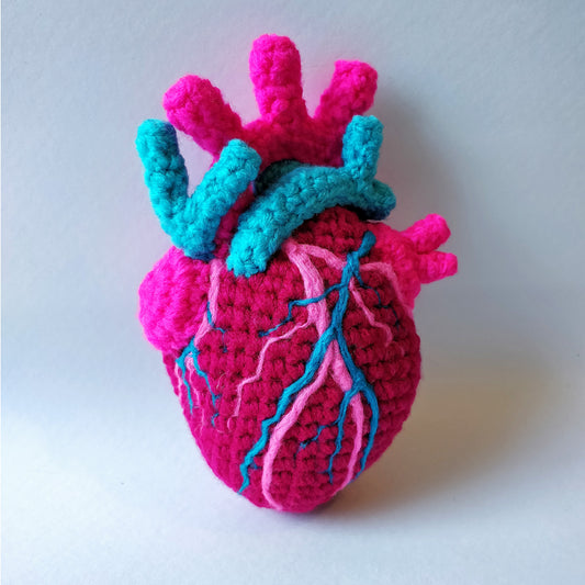 Anatomical Medium Heart- Hot Pinks