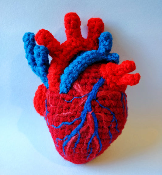 Anatomical Medium Heart- Classic Red