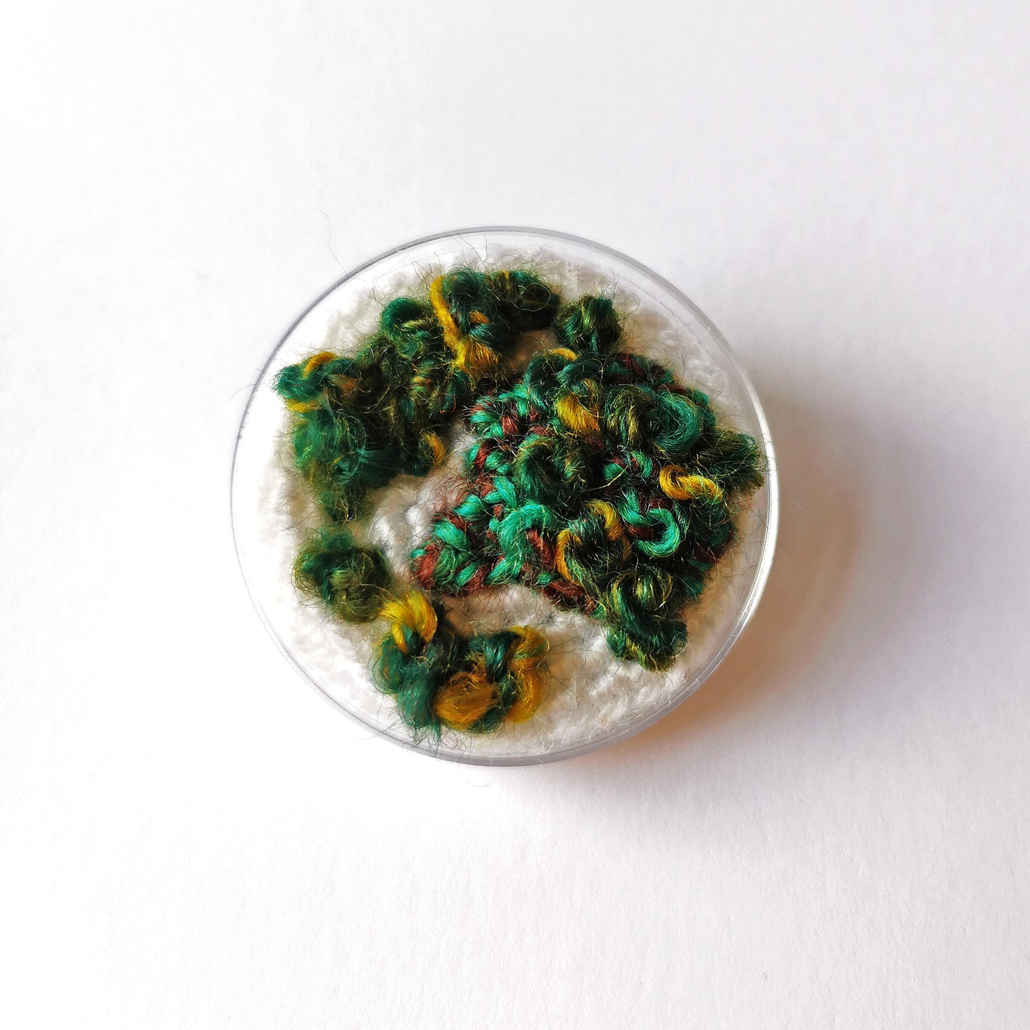 Petri Dish Brooch