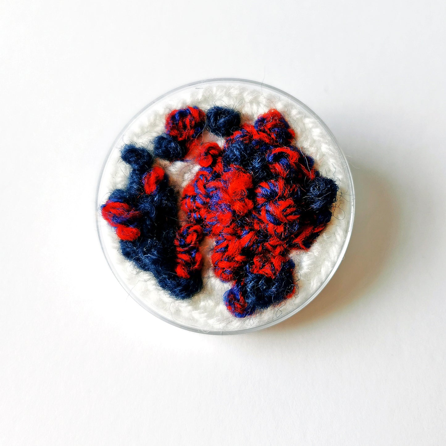 Petri Dish Brooch