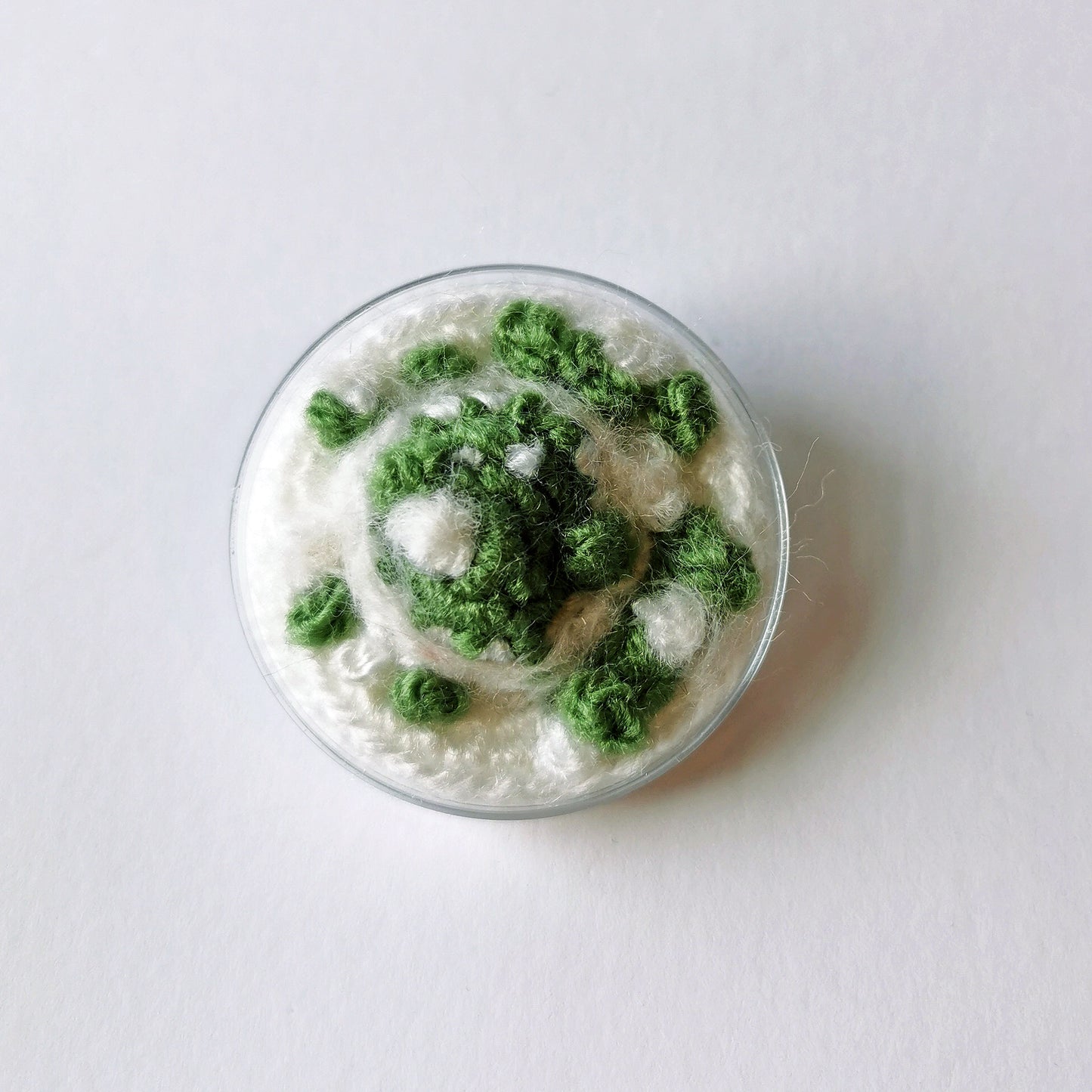 Petri Dish Brooch