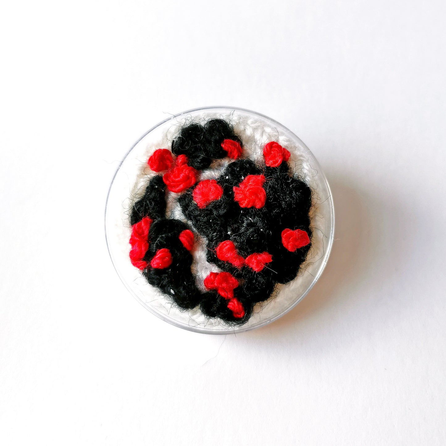 Petri Dish Brooch