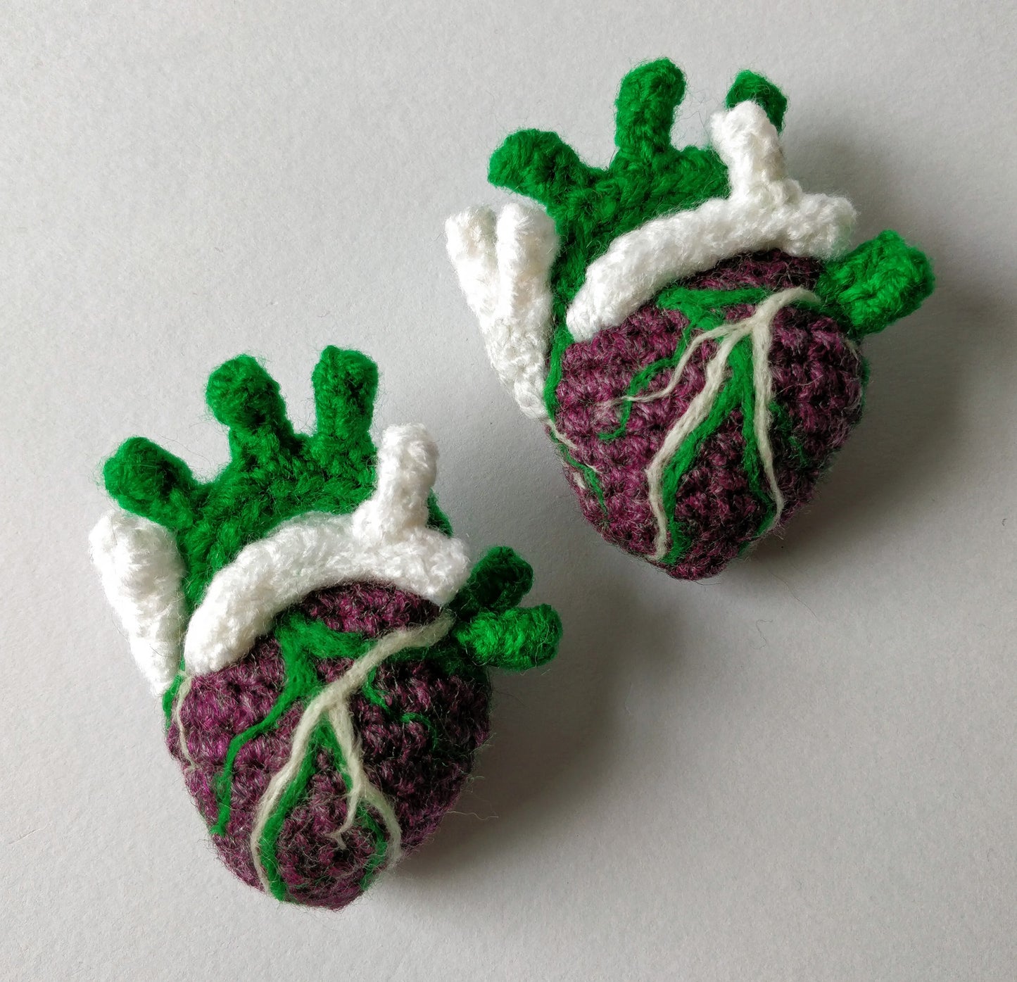 Anatomical Heart Brooch- Suffragette