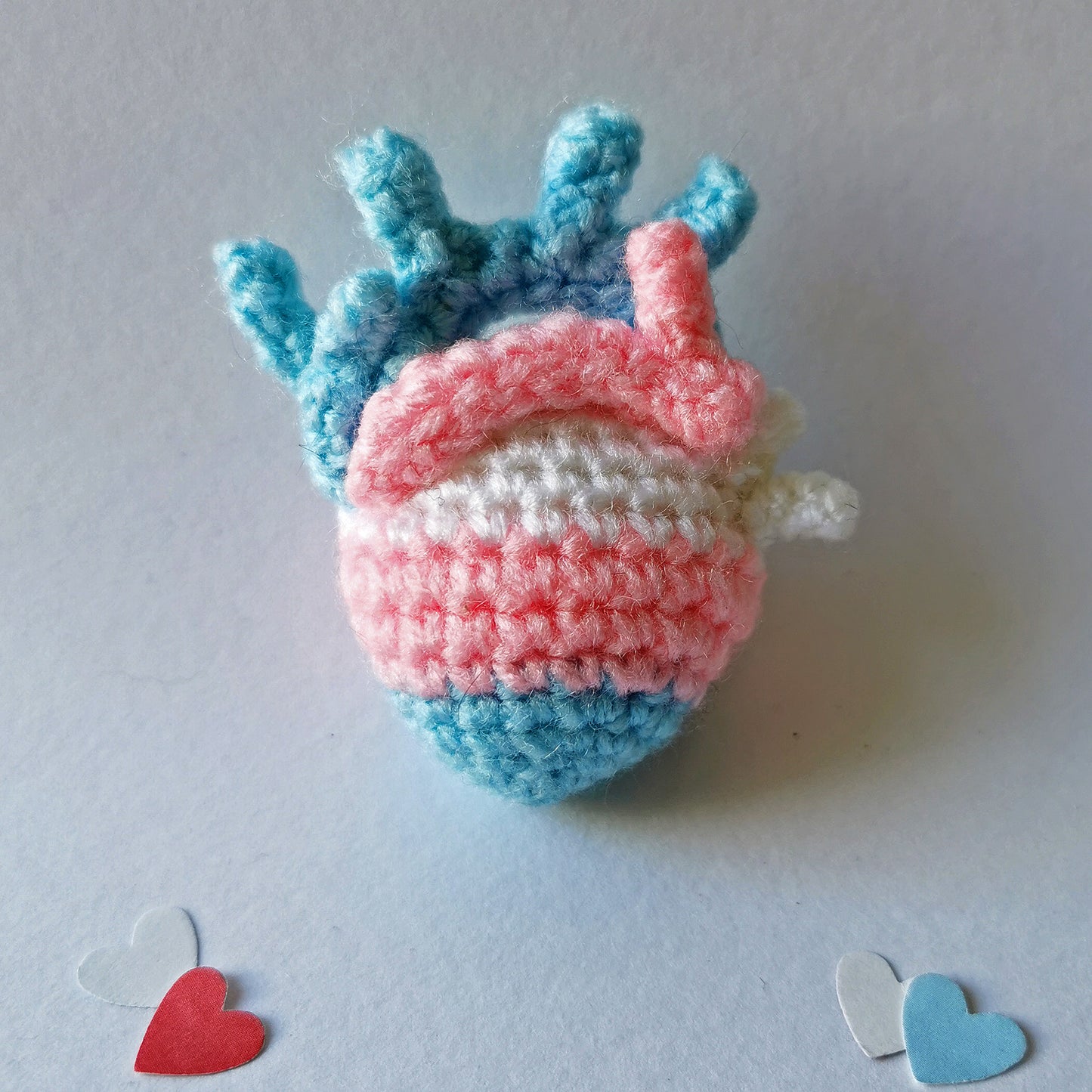 Anatomical Heart Brooch- Transgender Pride Flag