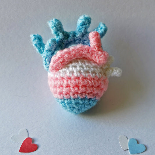 Anatomical Heart Brooch- Transgender Pride Flag